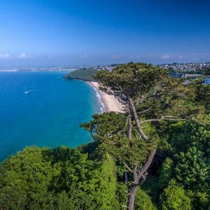 Porthkidney Sands viewed from Hawkes Point.out and about holiday rental in Cornwall, St Ives, Carbis Bay.