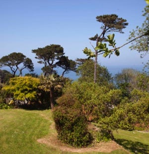Birdsong self catering house and garden,out and about holiday rental in Cornwall, St Ives, Carbis Bay.